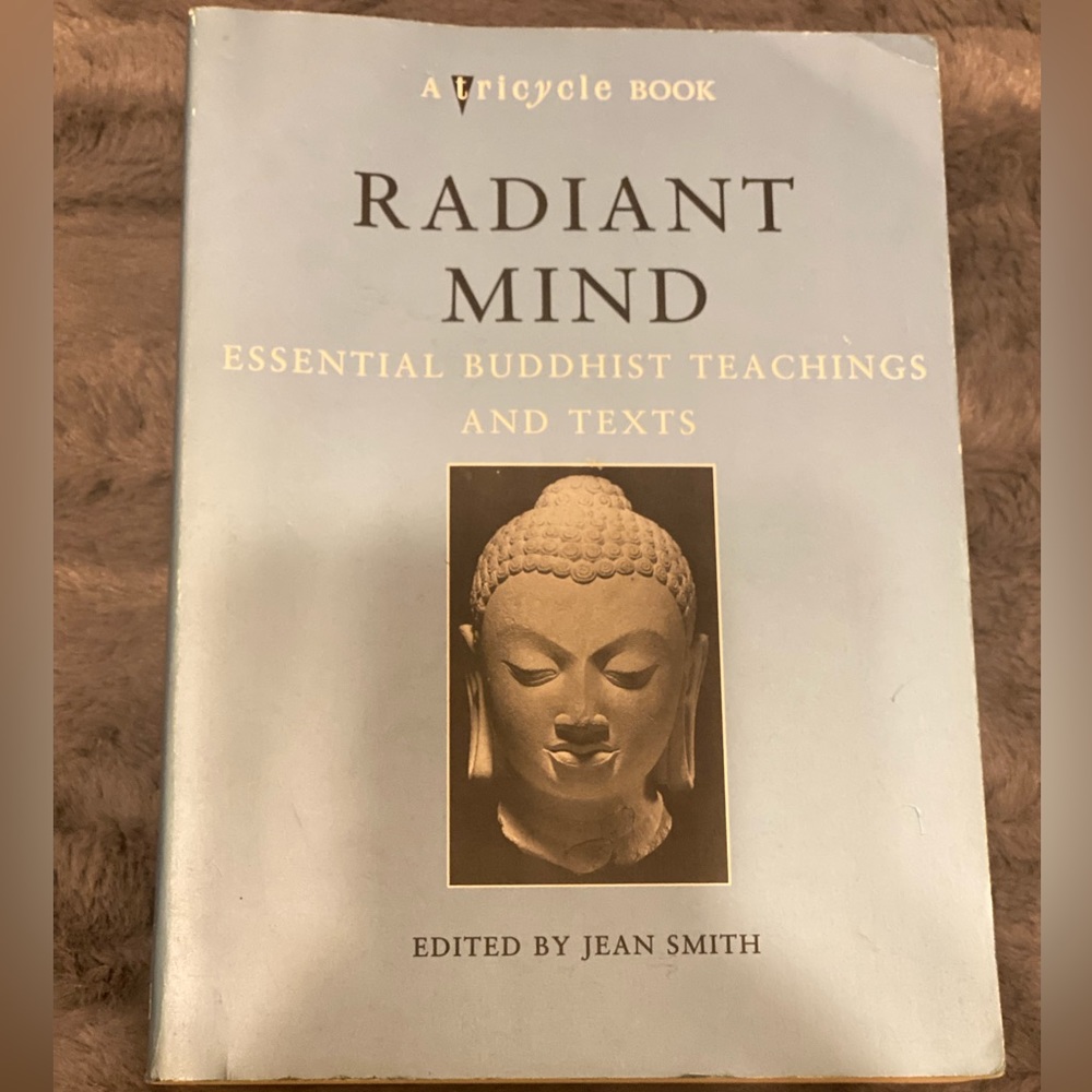 Radiant Mind Book